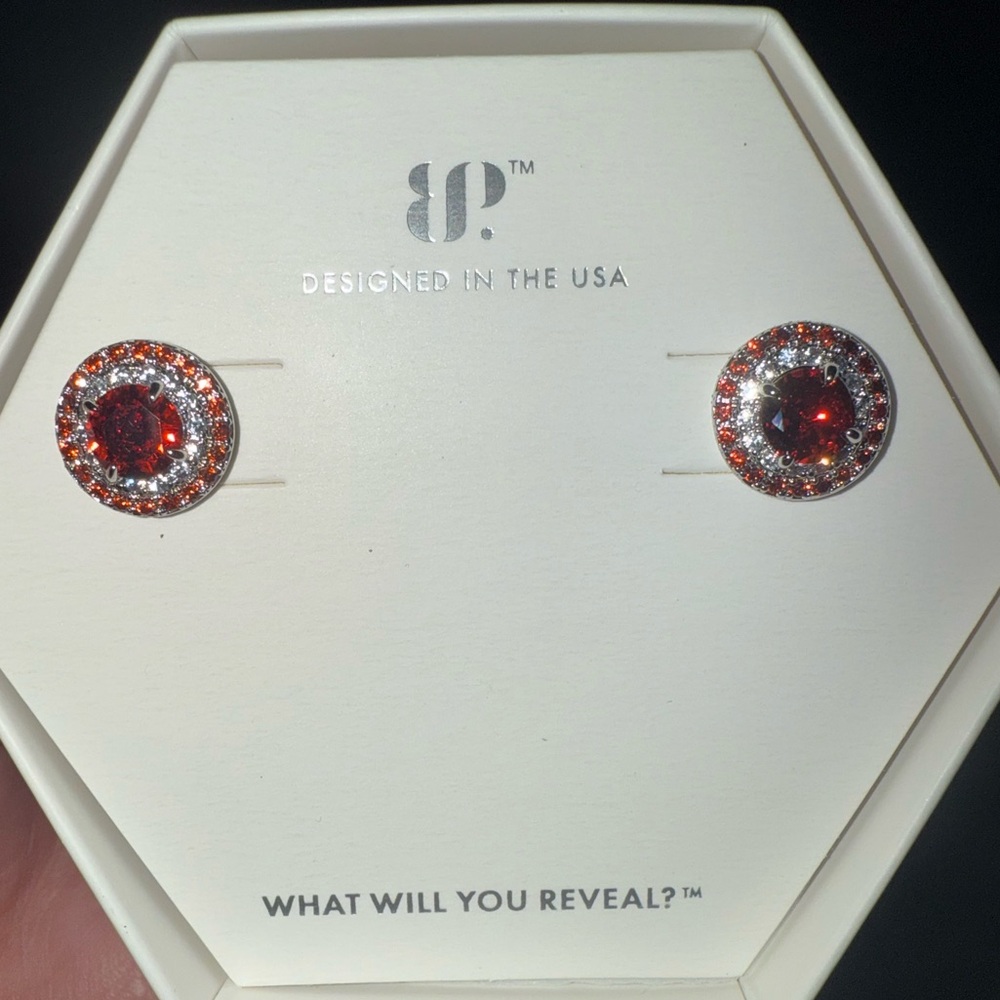 Sparkling Red Garnet and Silver Earrings